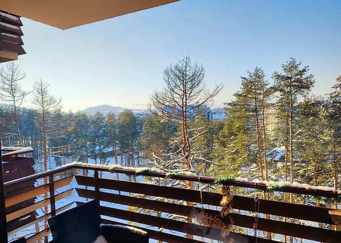 Balkanhill2 S37 Pekovic 公寓 *